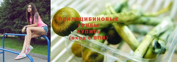 индика Абинск